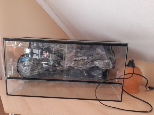 Kisállat terrárium