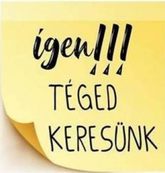 Kisegítő munkatársat keresünk Érden, heti 2 napban!