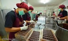 Könnyű fizikai munkára keresünk csomagoló munkatársakat