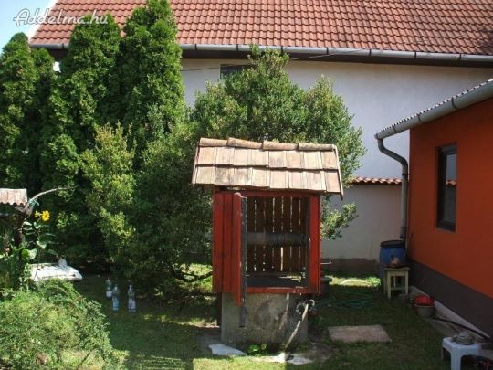 Ásott kút, tisztítása, Kútásó!