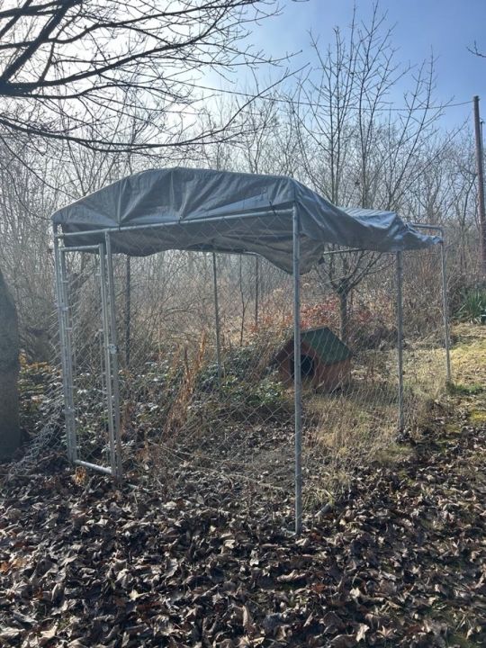 Kutya kennel