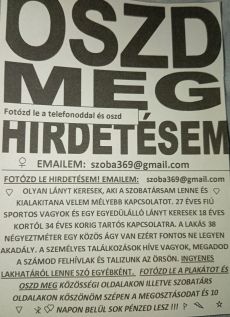 Lány szobatársat keresek