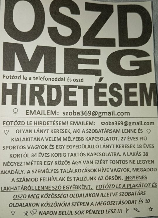 Lány szobatársat keresek