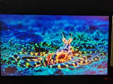 LG UltraGear 32GS85Q-B 2K/180hz 2év garancia