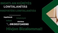 Lomtalanítàs -Hagyaték