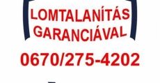 Lomtalanítás hétvégén is