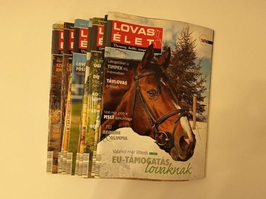 Lovas Élet - Verseny, hobbi, tenyész