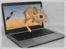 Magyar billentyűzettel: HP EliteBook 840 G6 TCH