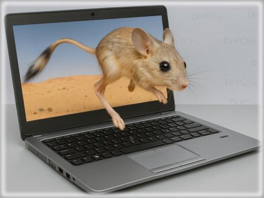 Magyar billentyűzettel: HP EliteBook 840 G6 TCH