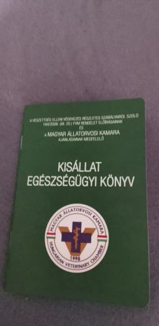 Máltai selyem 6 hónapos fiú kutyus