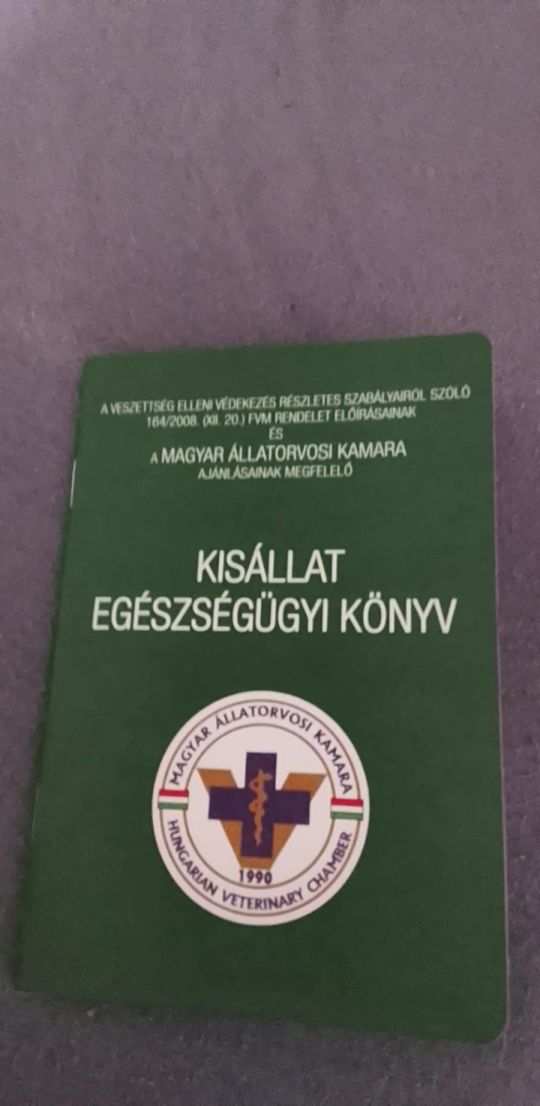 Máltai selyem 6 hónapos fiú kutyus