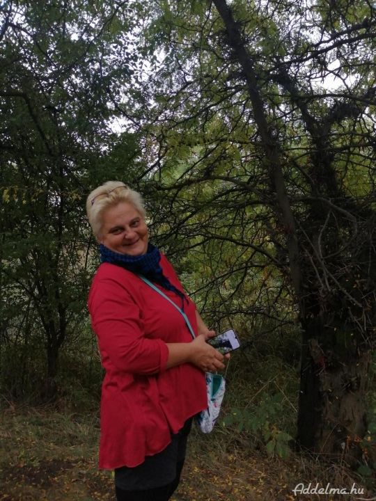 Áprilistól  munkát keresek