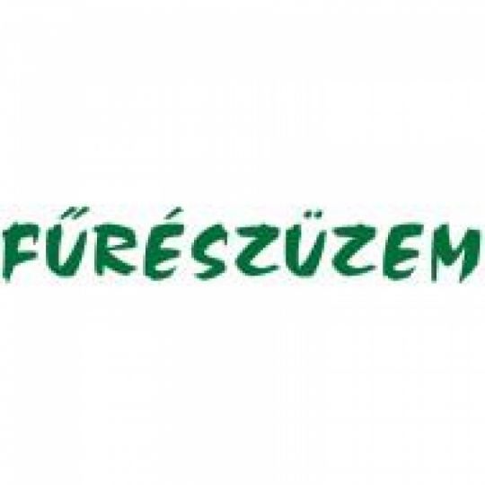 Martonvásár fűrészüzembe gyakorlattal rendelkező kolléga