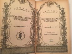 Meister Vilmos Tanulóévei III.