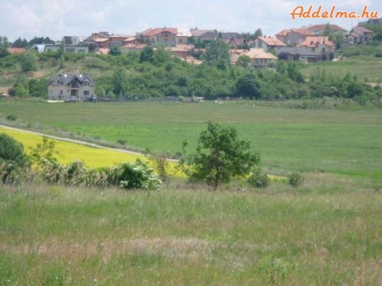 Mezőgazdasági terület