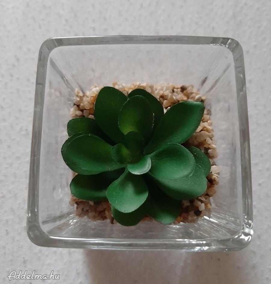 Mini üveges műnövény