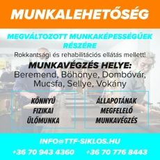 Munkalehetőség Megváltozott Munkaképességűek részére Mucsfán