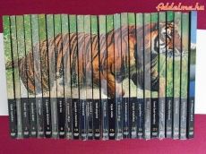 Natural Killers-Ragadozók testközelben DVD 26db
