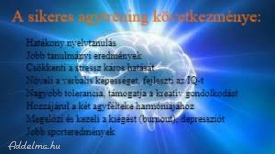 Német, szerb, angol nyelvoktatás, tréningek, tolmácsolás