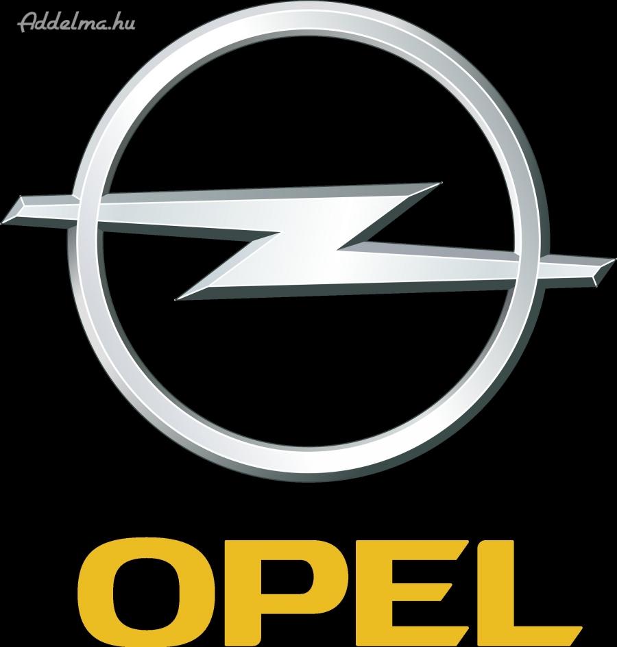 Opel diagnosztika (gyári szintű) akár kiszállással.