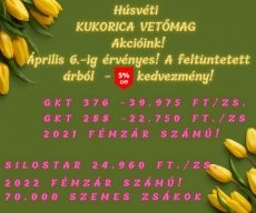 Óriási vetőmag AKCIÓ
