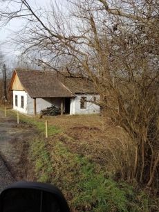 Őriszentpéter, Őrség ház ill. építési telek eladó