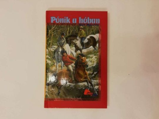 Pónik a hóban