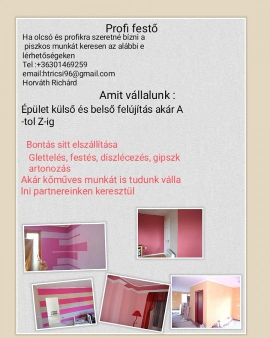 Profi festők