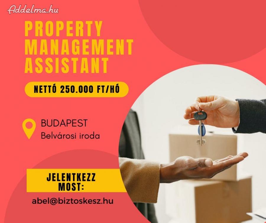 Property management assistant