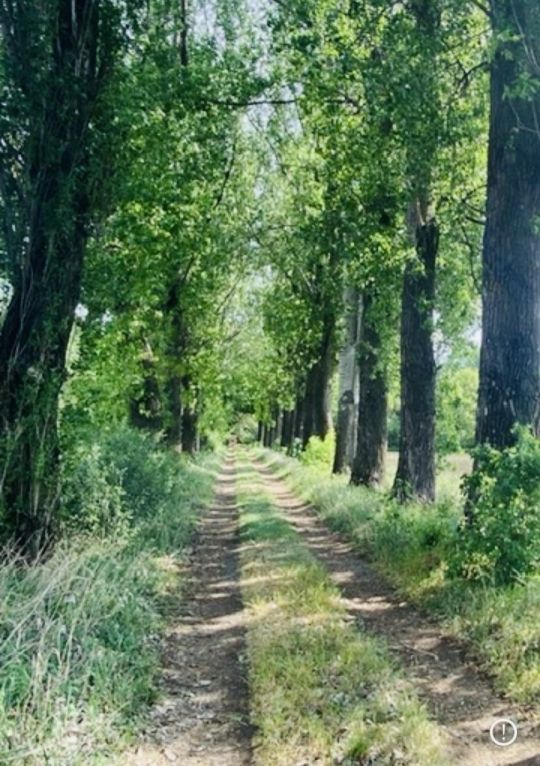 Sürgősen eladó ipari ingatlan Csabaszabadi külterületén