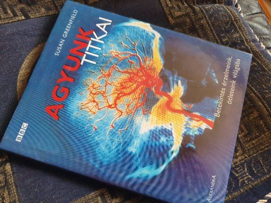 Susan A. Greenfield: Agyunk titkai
