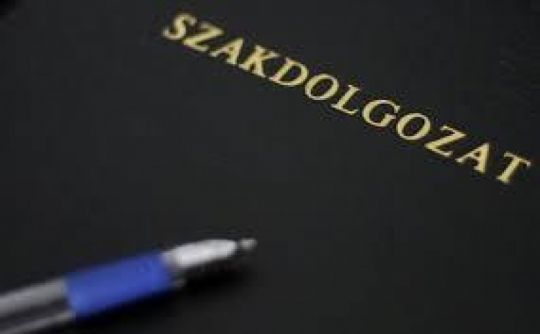Szakdolgozat, házi dolgozat, tételkidolgozás