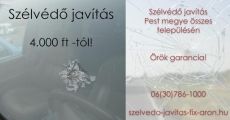 Szélvédő javítás fix áron azonnal a helyszínen