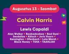 Sziget napijegy 08.13 (szombat)
