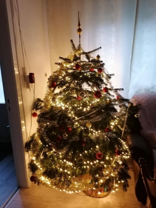 Teherautó vezető állás