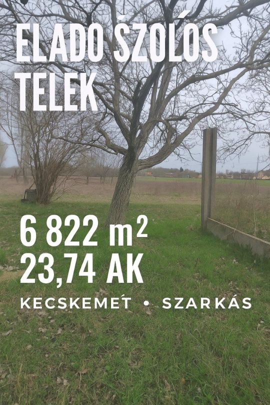 Telek szőlő, gyümölcsös