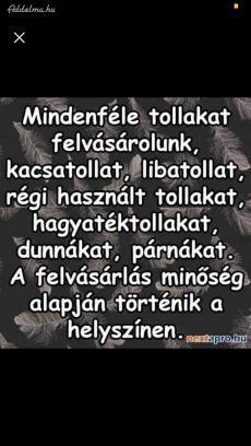 Tollfelvásárlás magas áron