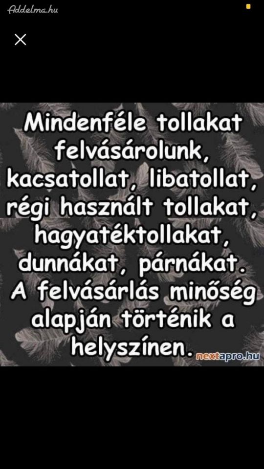 Tollfelvásárlás magas áron