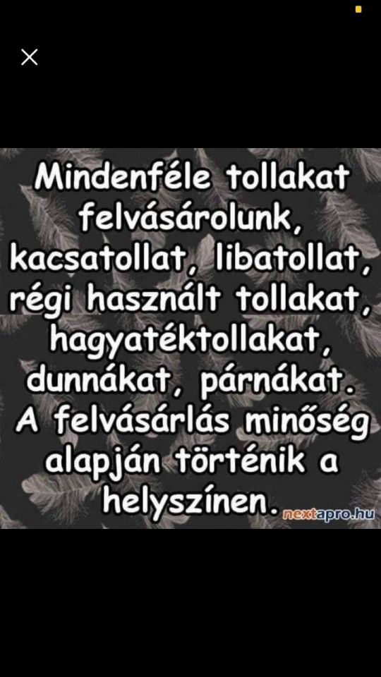 Tollfelvásárlás