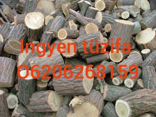 Tüzifa Ingyen!!!