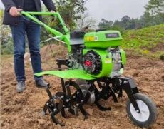 Új Kraft&Dele KD5429 Benzinmotoros rotációs kapa 100cm eladó