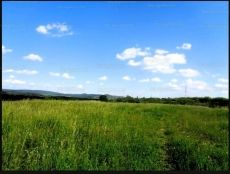 Vác Felső török hegyen 4.8 HA mezőgazdasági terület eladó!