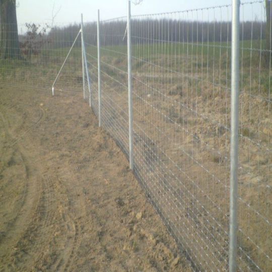 Vadháló Kerítés építés KIZÁRÓLAGOS GYÁRTÓ