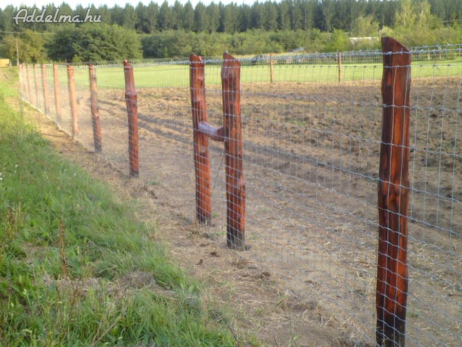 Vadháló kerítésépítés kerítésdrót szögesdrót oszlop