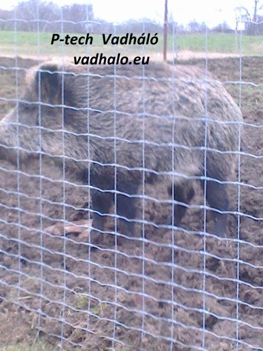 Vadháló,kerítésépítés,oszlop,uszeg,szögesdrót