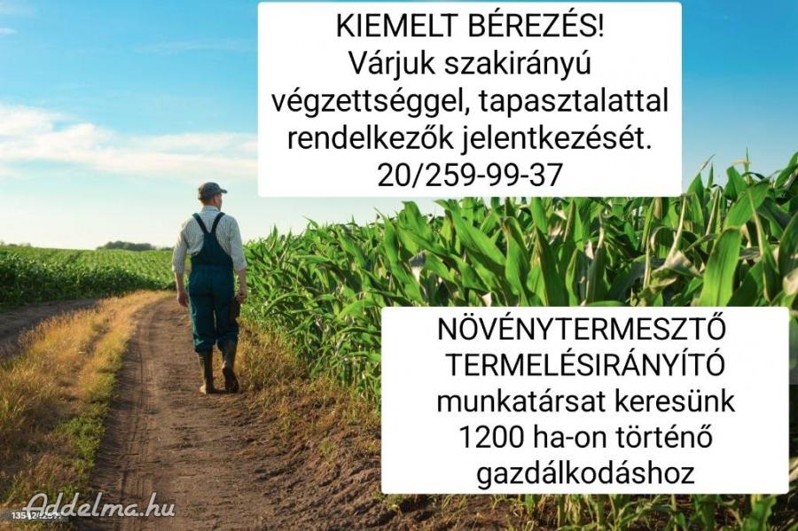 Városföldi Agrárgazdaság Zrt.-Növénytermesztő