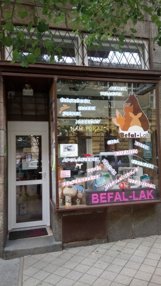 Végkiárusítás Állateledel és felszerelés!