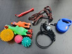 Világító, USB-LED-es, több színű nyakörv,hám,póráz,játékok