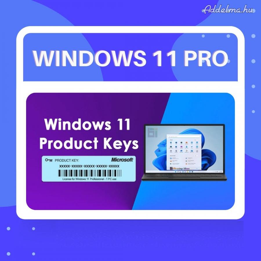 Windows 11 Pro Licence Key 