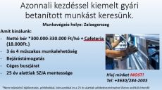 Zalaegerszegre betanított gyári munkásokat keresek